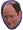 Costanza